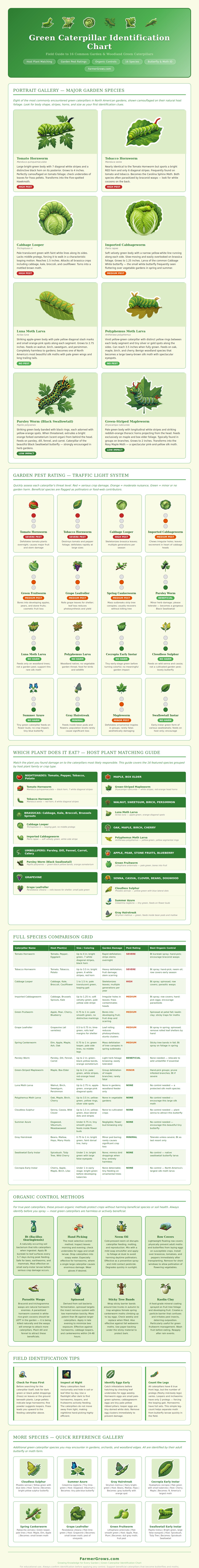 Green Caterpillar Identification Chart