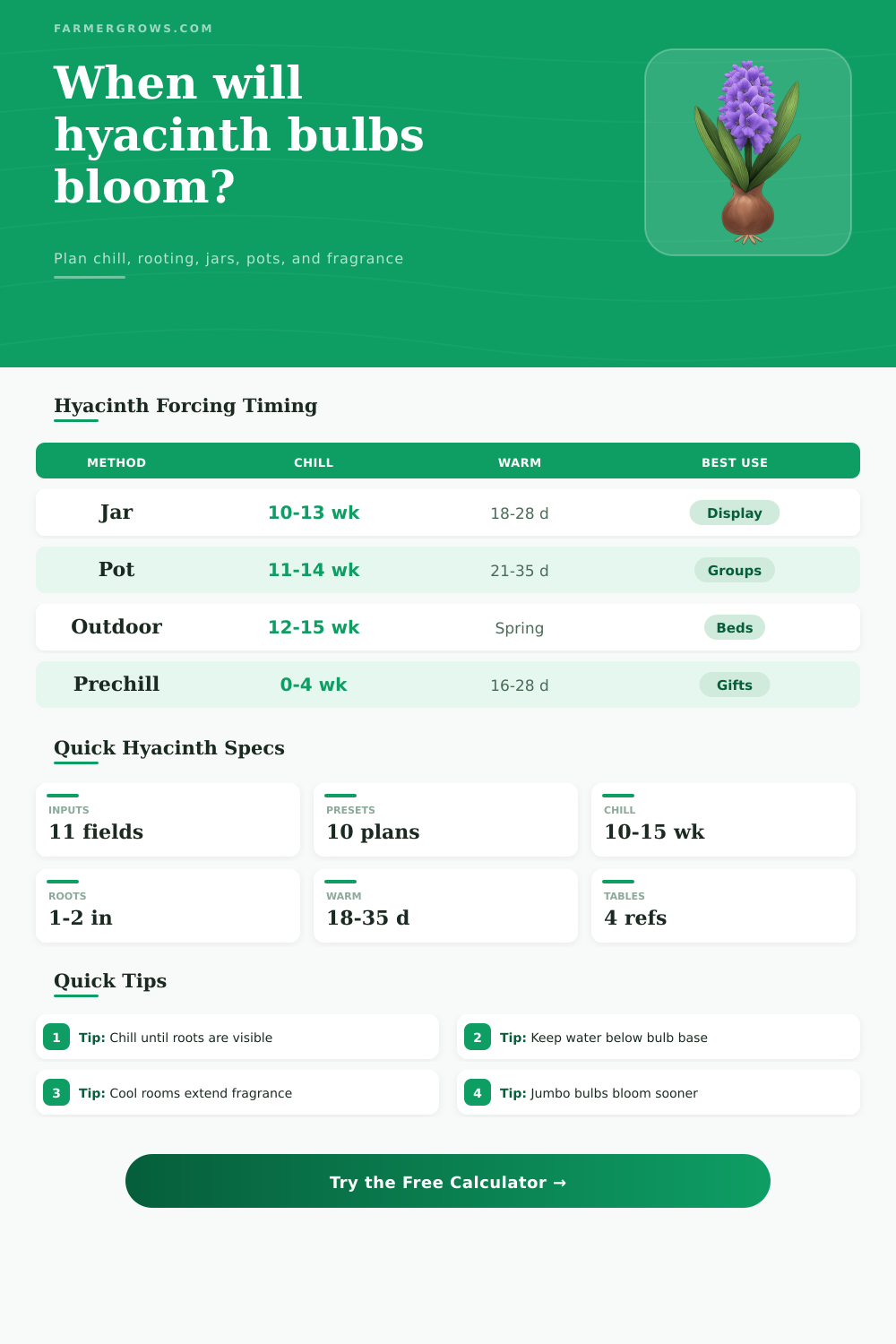 Hyacinth Bulb Bloom Time Calculator
