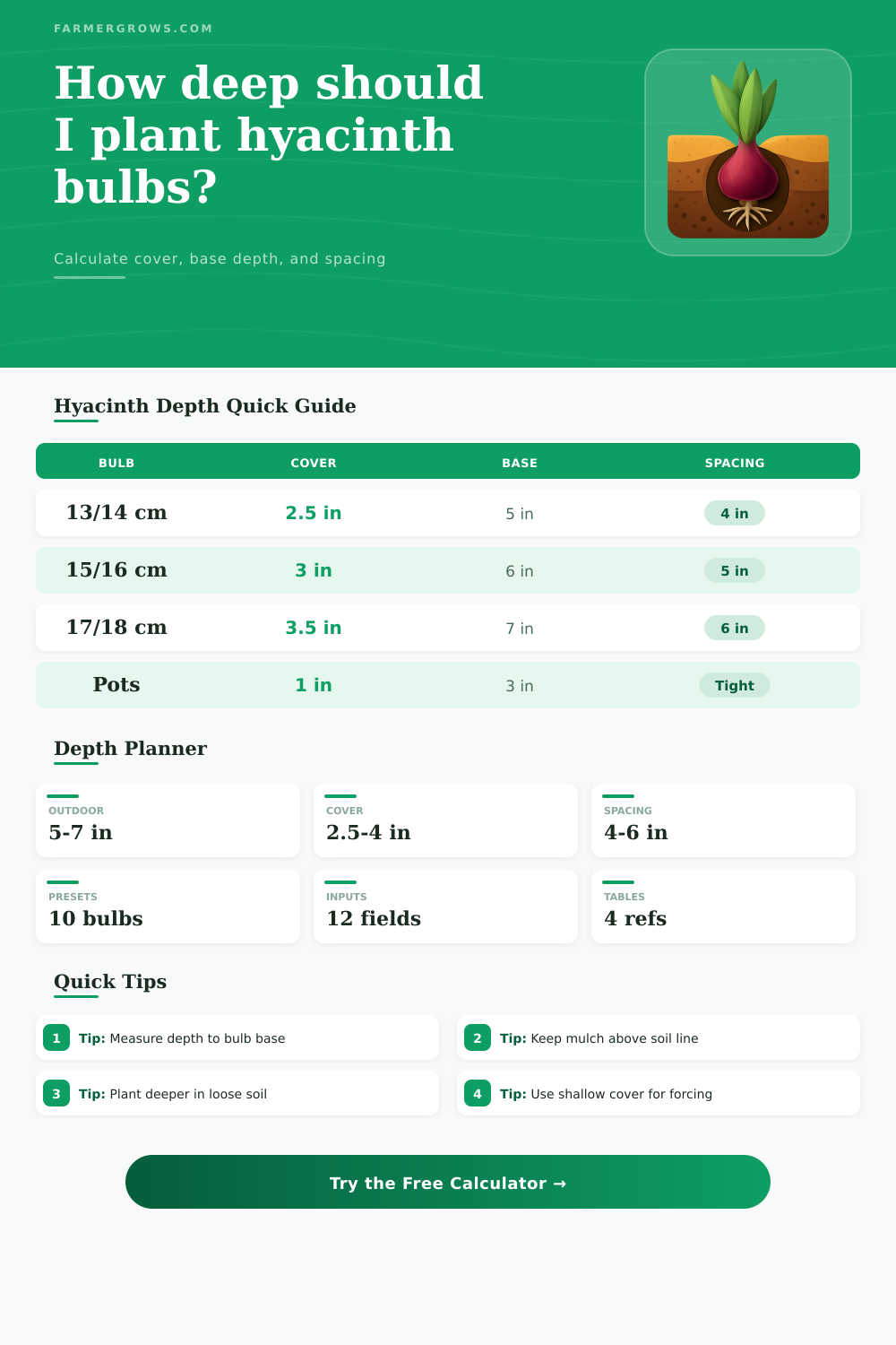 Hyacinth Bulb Planting Depth Calculator