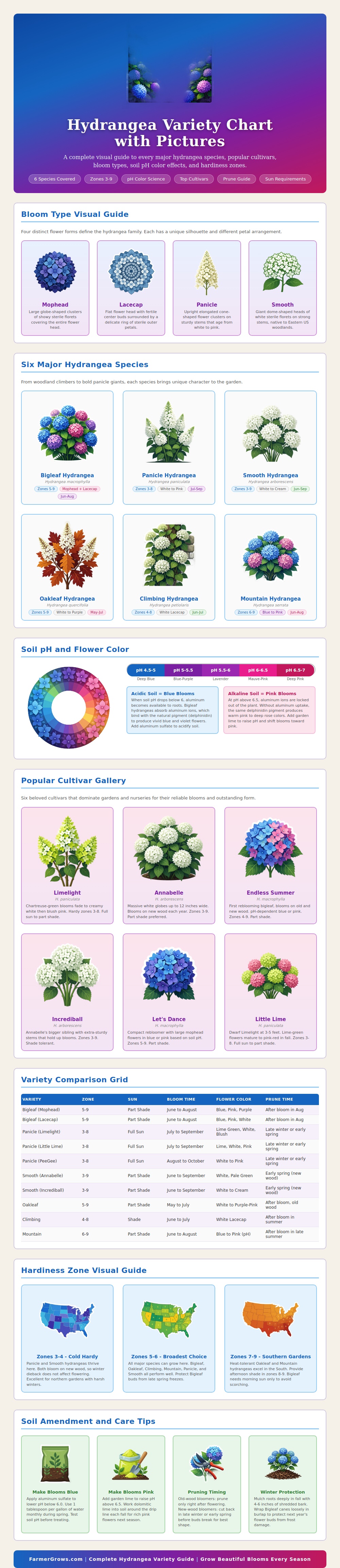 Hydrangea Variety Chart With Pictures