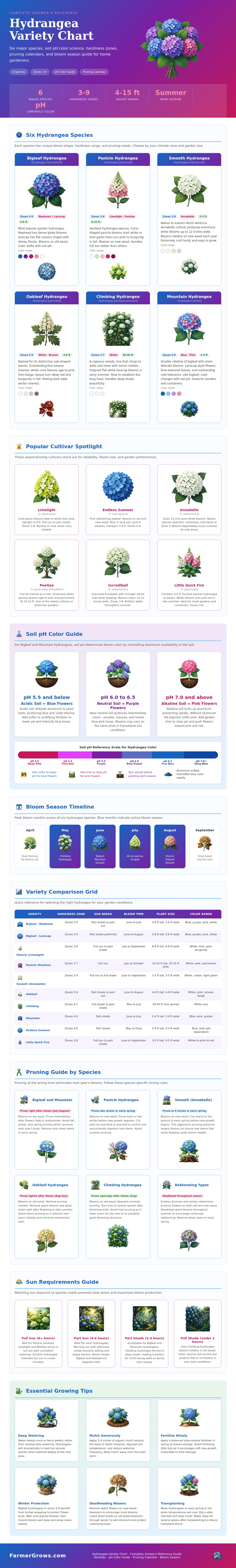 Hydrangea Variety Chart - Farmer Grows