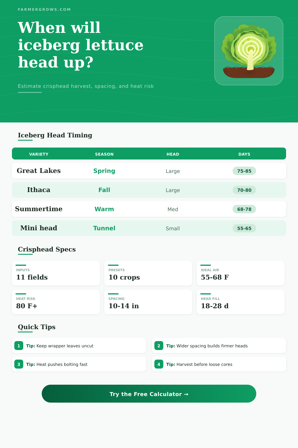 Iceberg Lettuce Growth Time Calculator