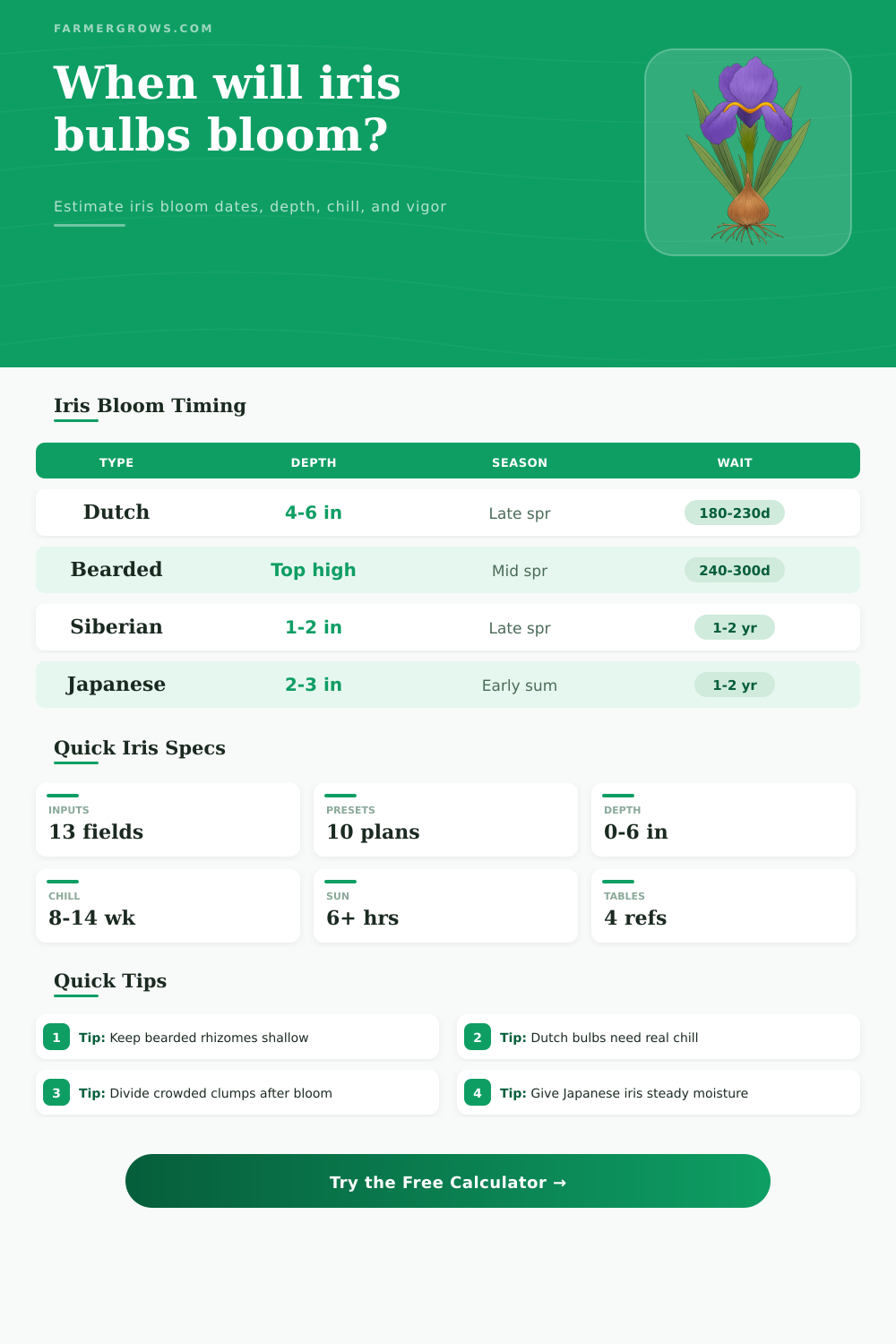 Iris Bulb Bloom Time Calculator