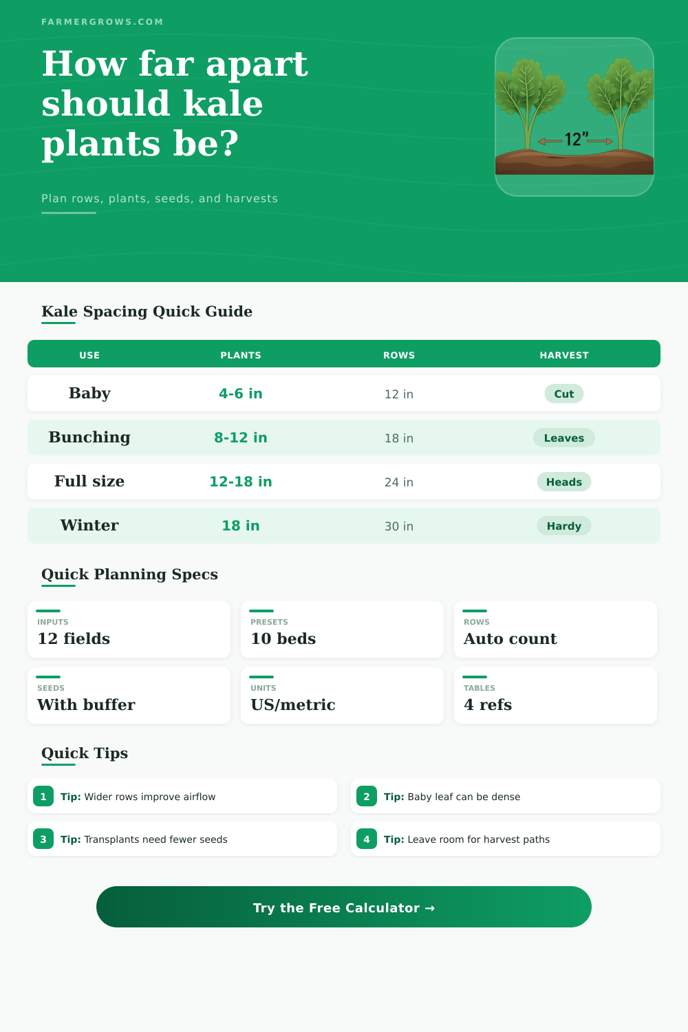 Kale Plant Spacing Calculator for Garden Beds