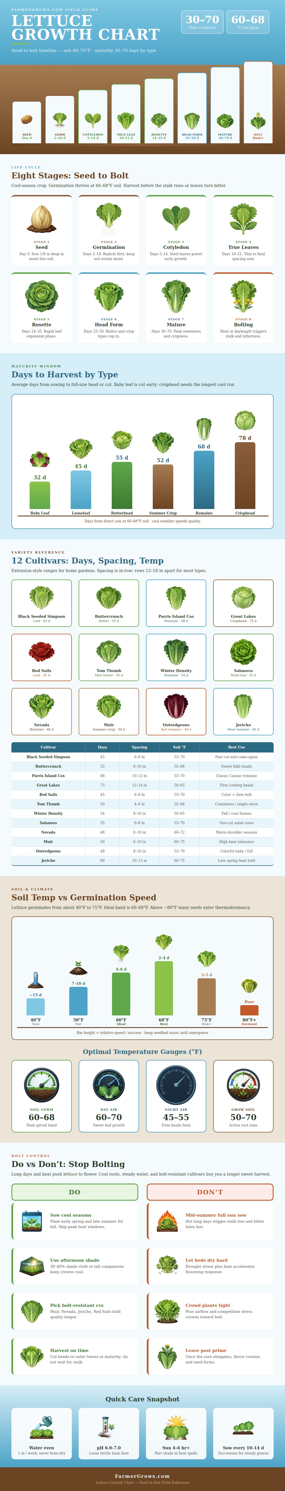 Lettuce Growth Chart