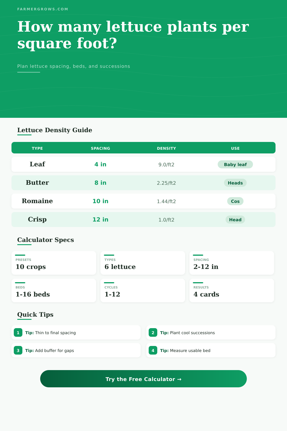 Lettuce Plants Per Square Foot Calculator