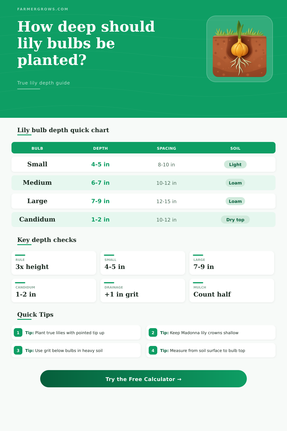 Lily Bulb Planting Depth Calculator