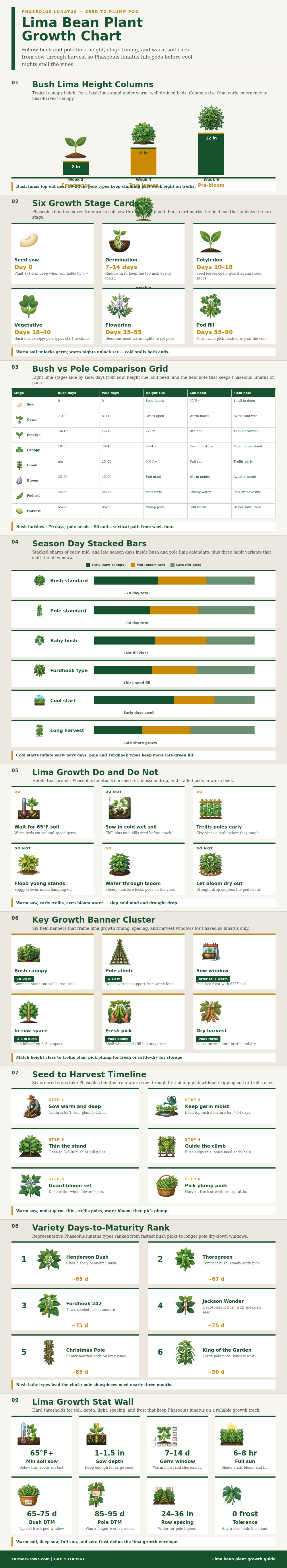 Lima Bean Plant Growth Chart