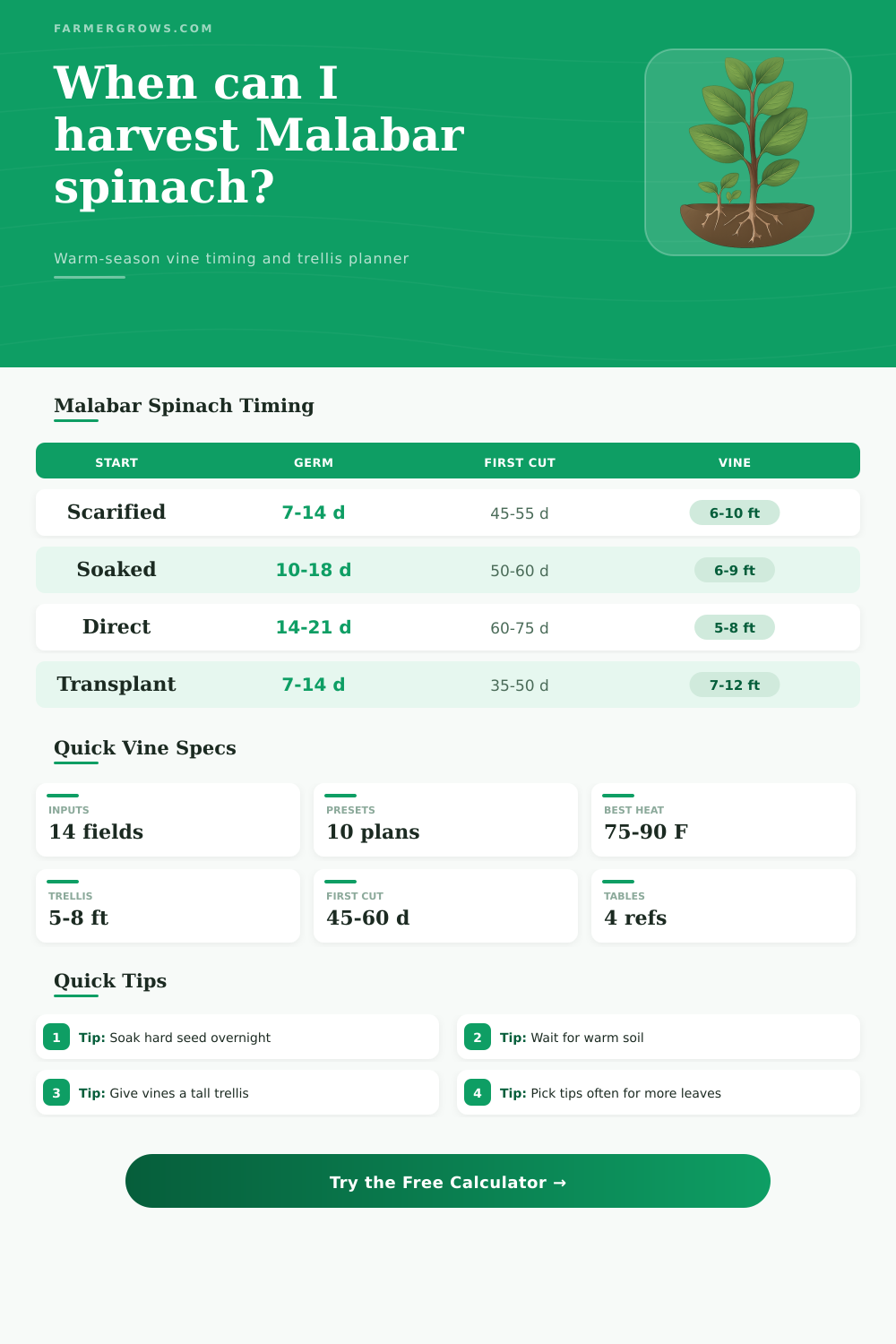 Malabar Spinach Growth Time Calculator