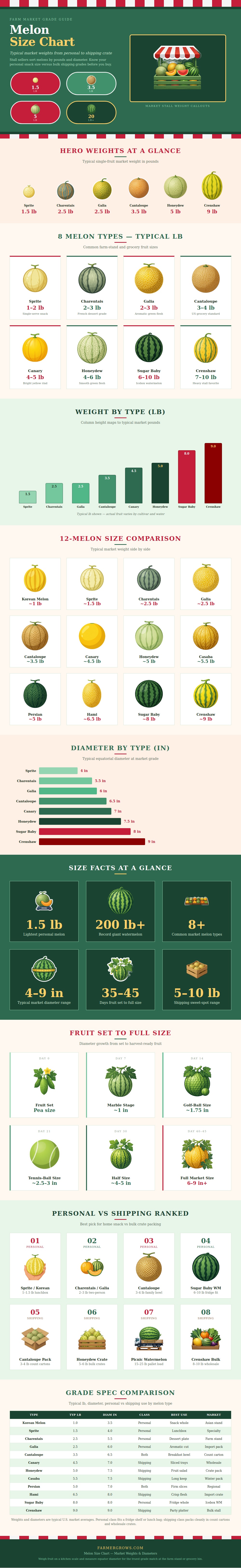 Melon Size Chart