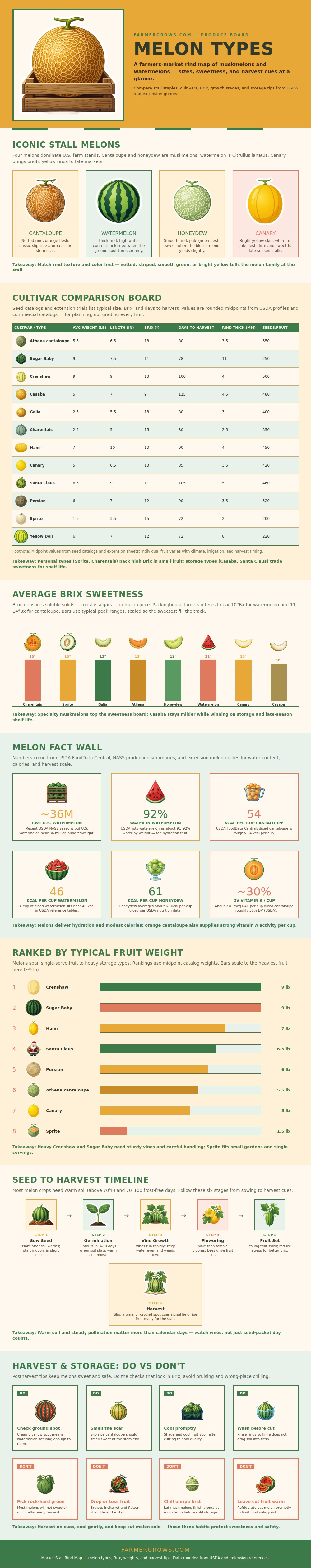 Melon Types Chart