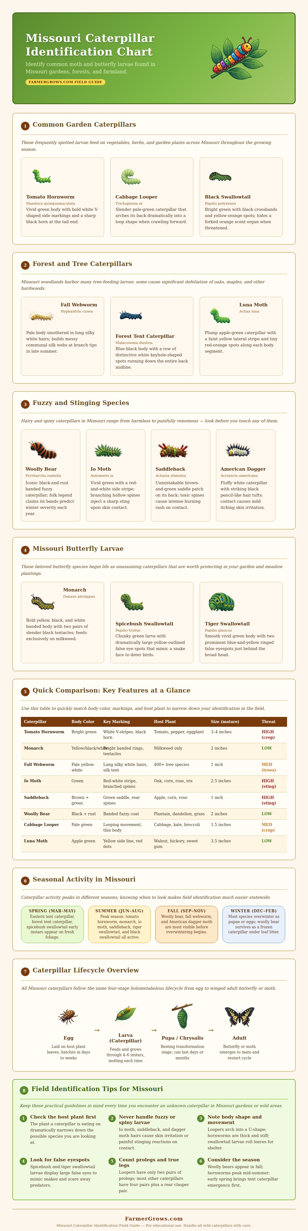Missouri Caterpillar Identification Chart