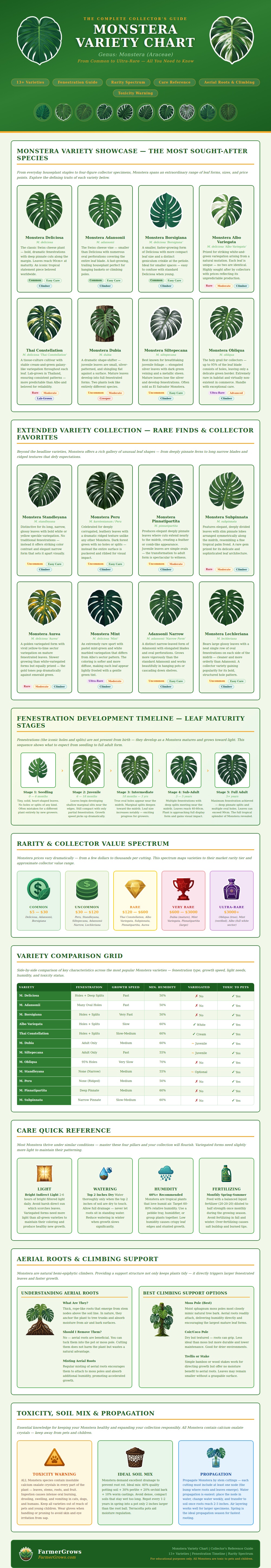 Monstera Variety Chart