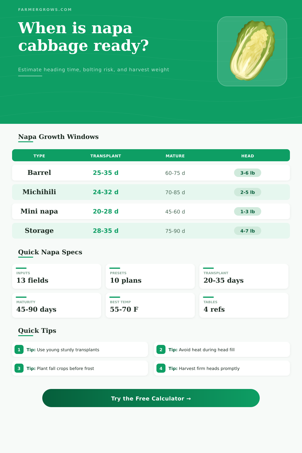 Napa Cabbage Growth Time Calculator