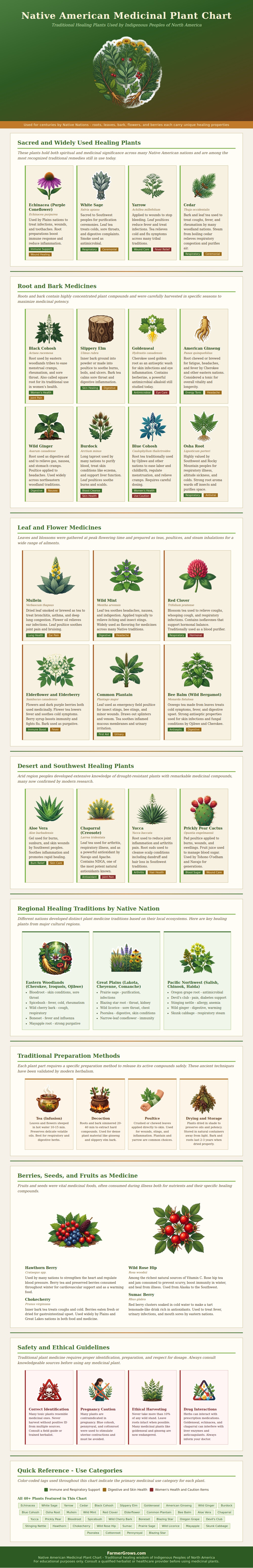 Native American Medicinal Plant Chart