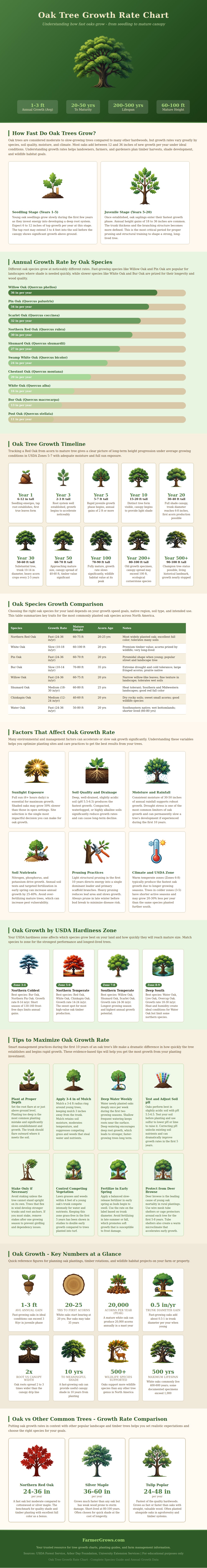 Oak Tree Growth Rate Chart