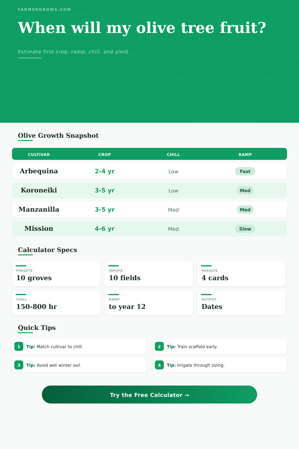 Olive Tree Growth Time Calculator