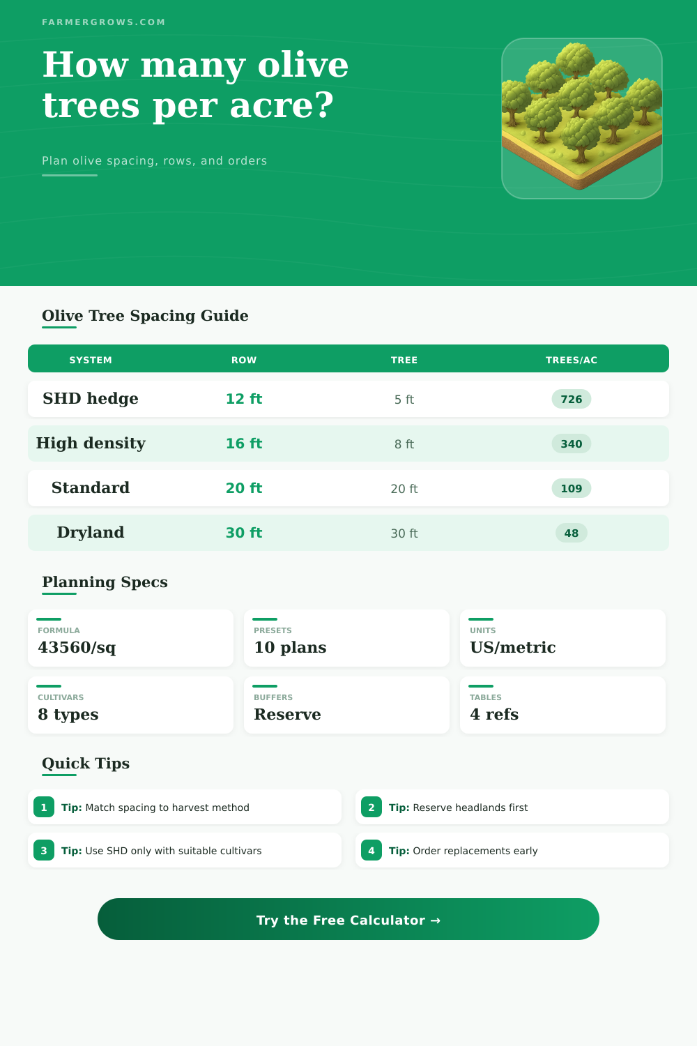 Olive Trees Per Acre Calculator for Orchards
