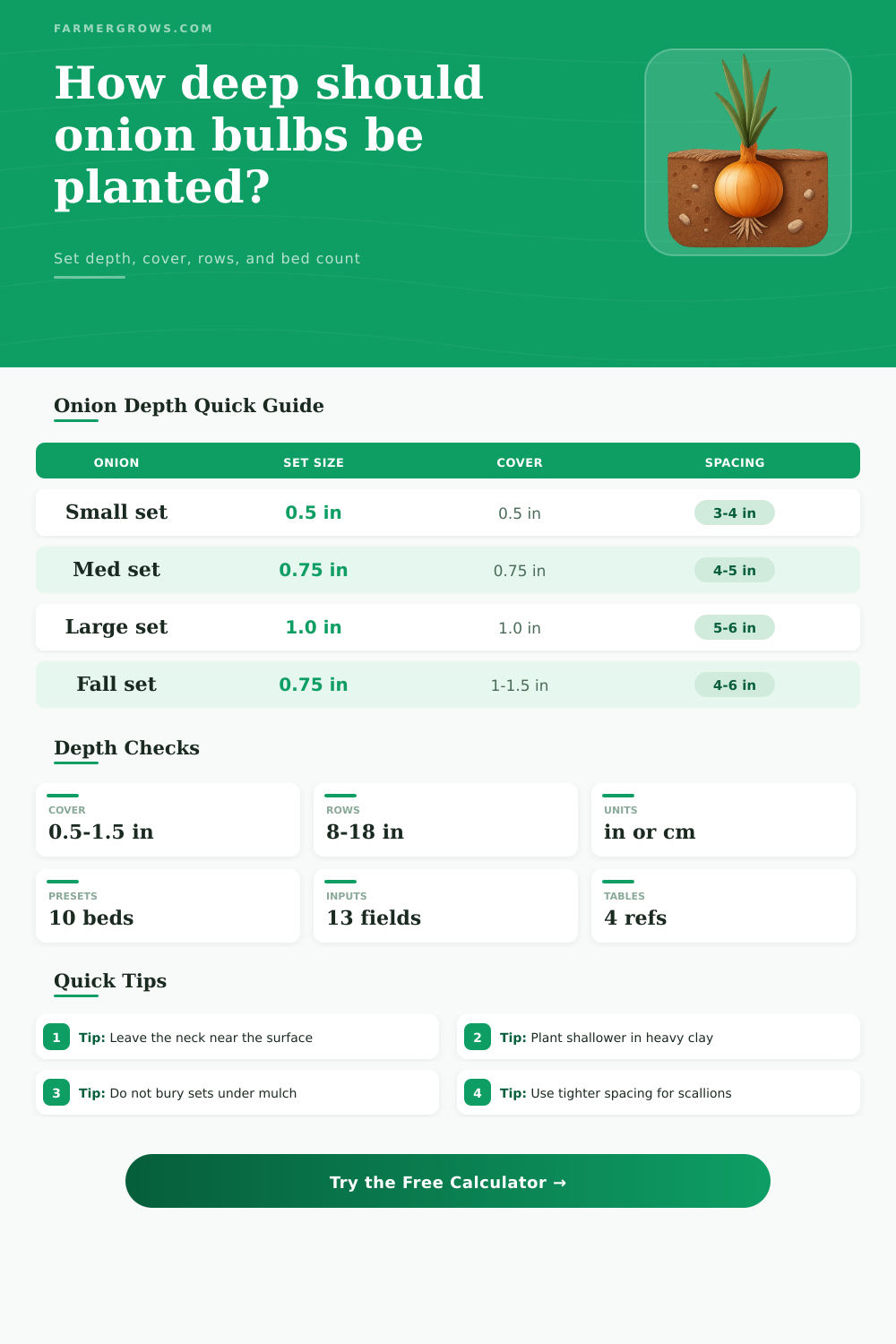 Onion Bulb Planting Depth Calculator