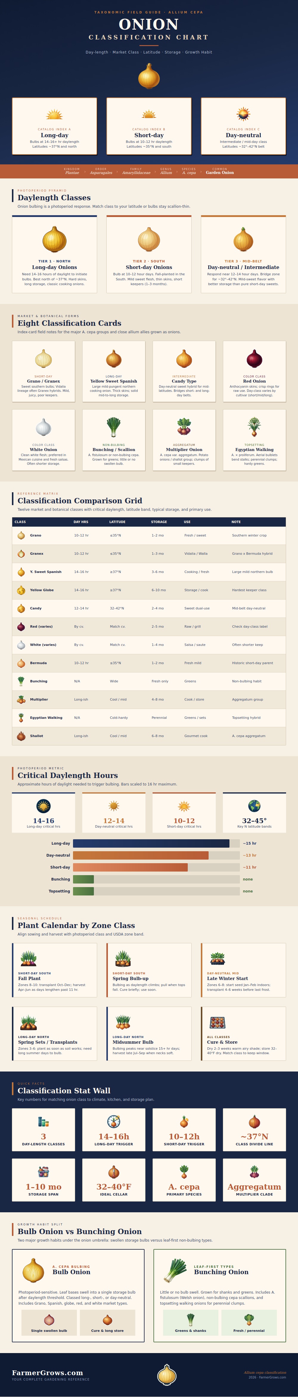 Onion Classification Chart