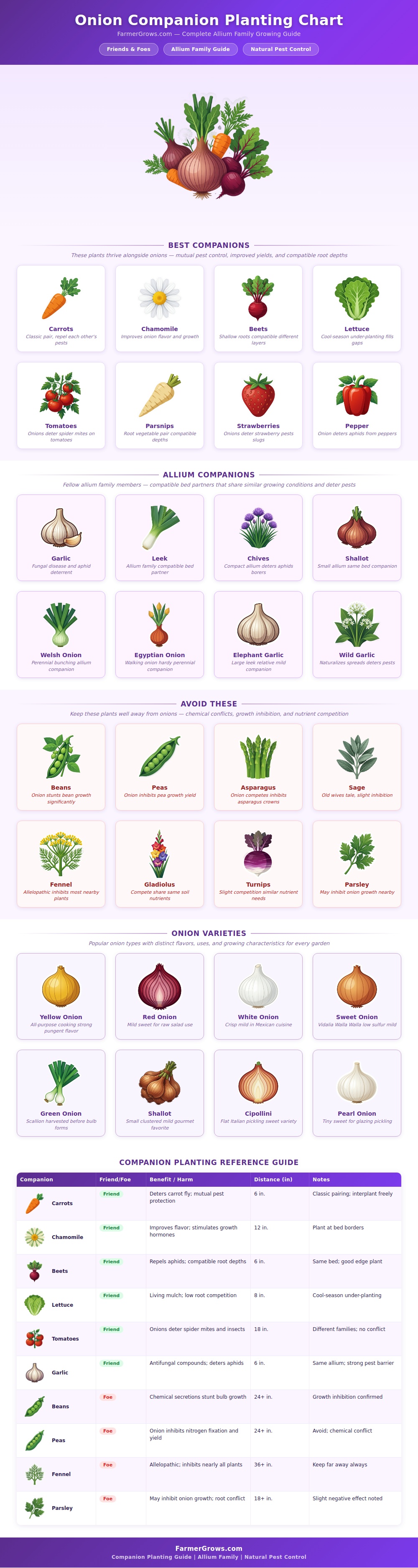 Onion Companion Planting Chart