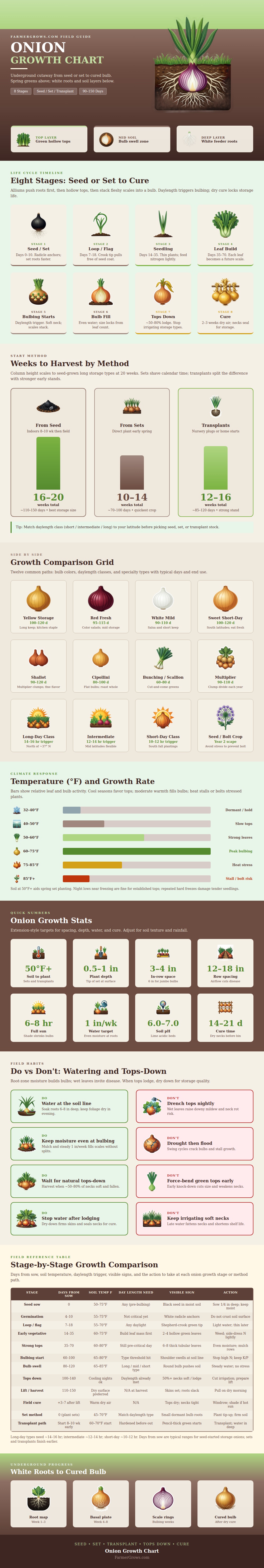 Onion Growth Chart