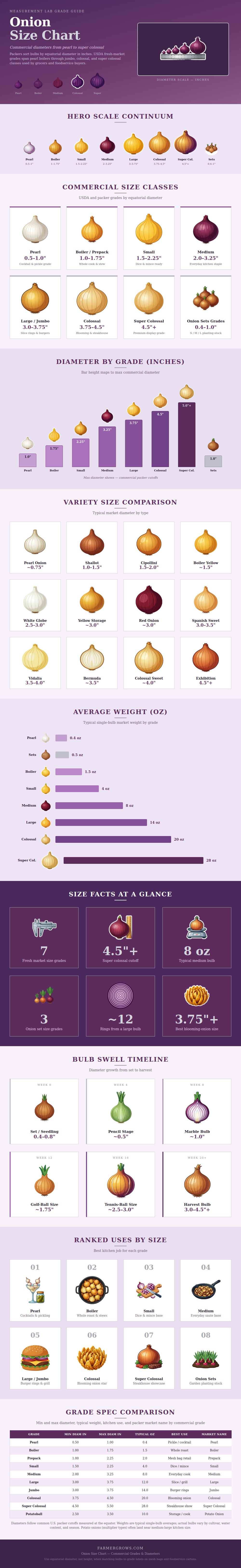 Onion Size Chart