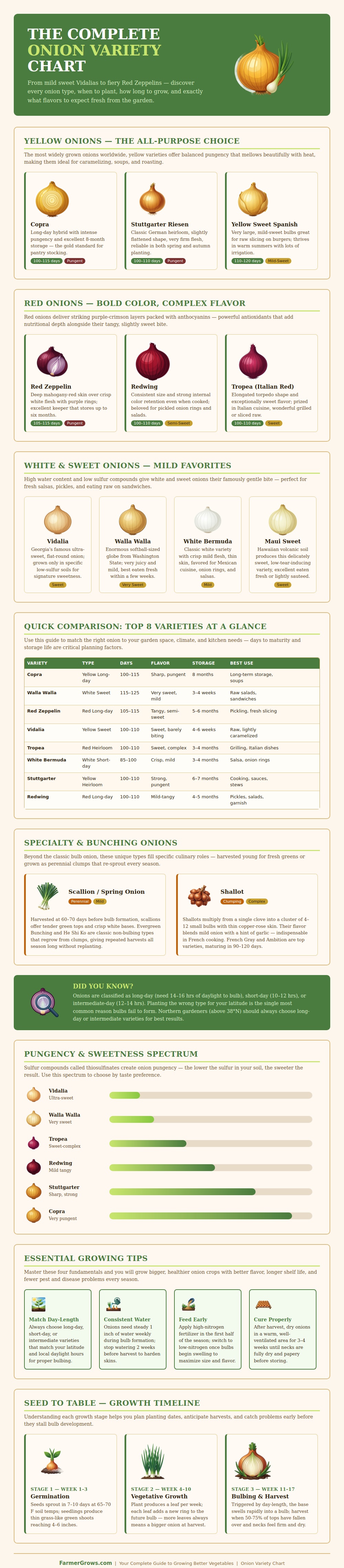 Onion Variety Chart