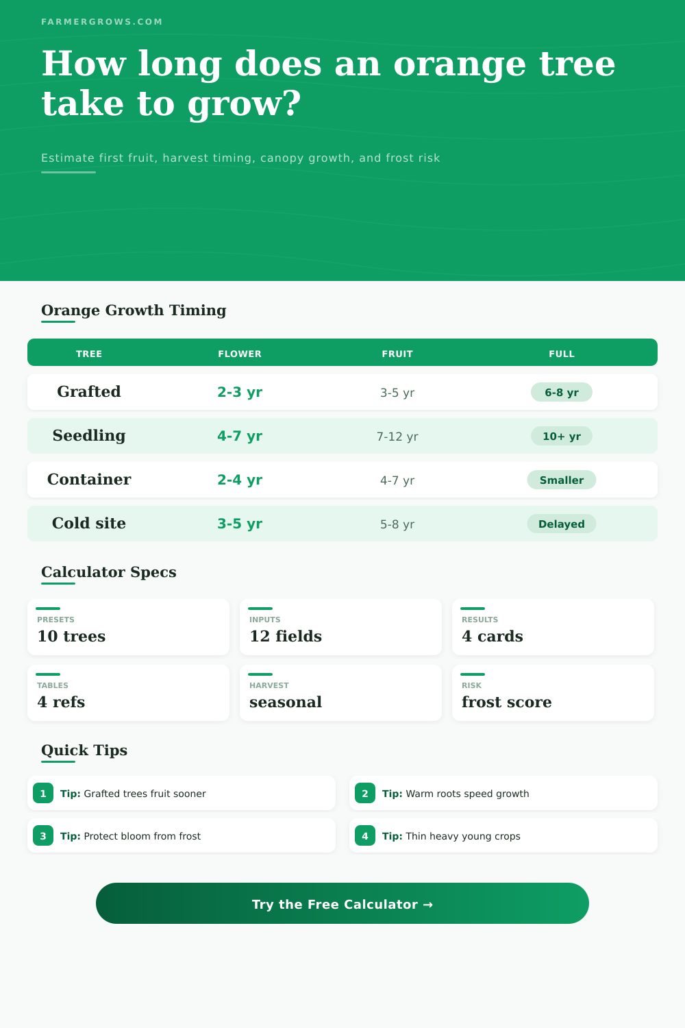 Orange Tree Growth Time Calculator