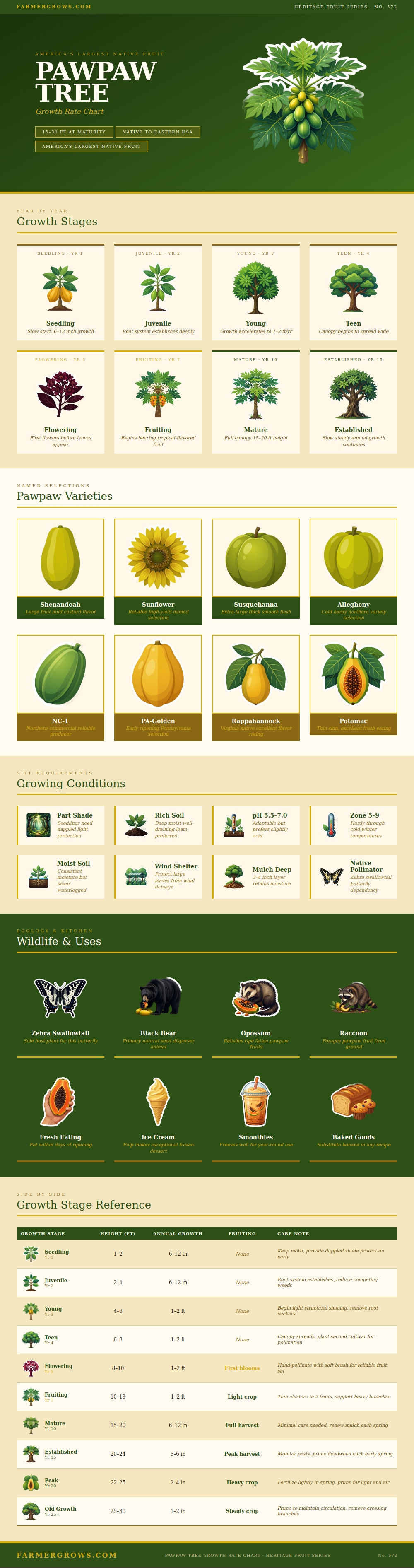 Pawpaw Tree Growth Rate Chart