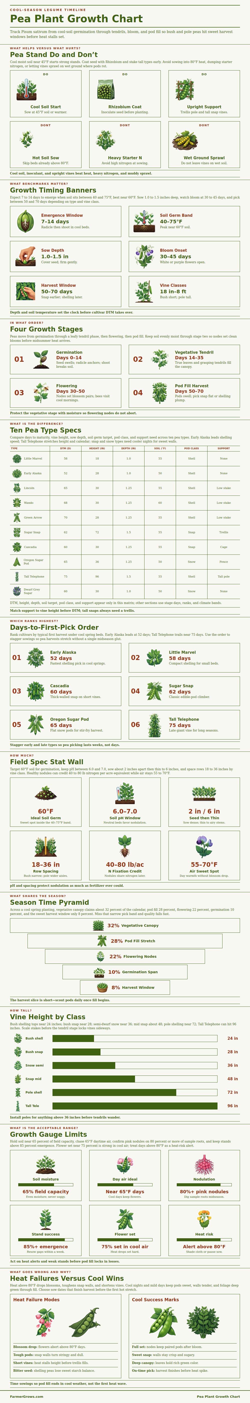 Pea Plant Growth Chart