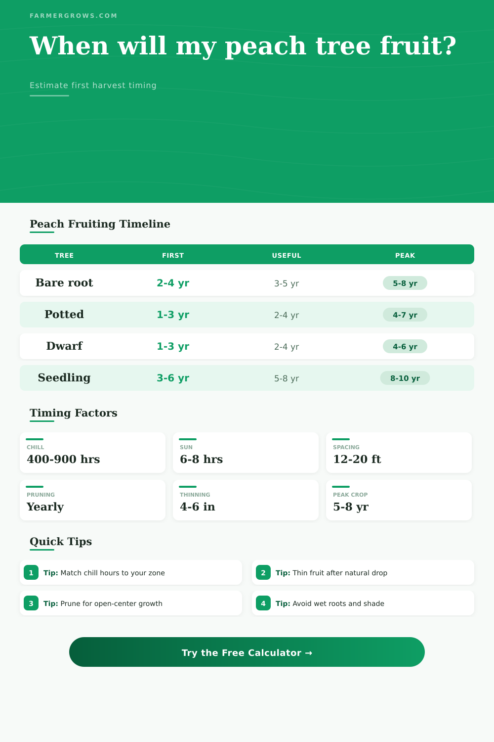 Peach Tree Time to Bear Fruit Calculator