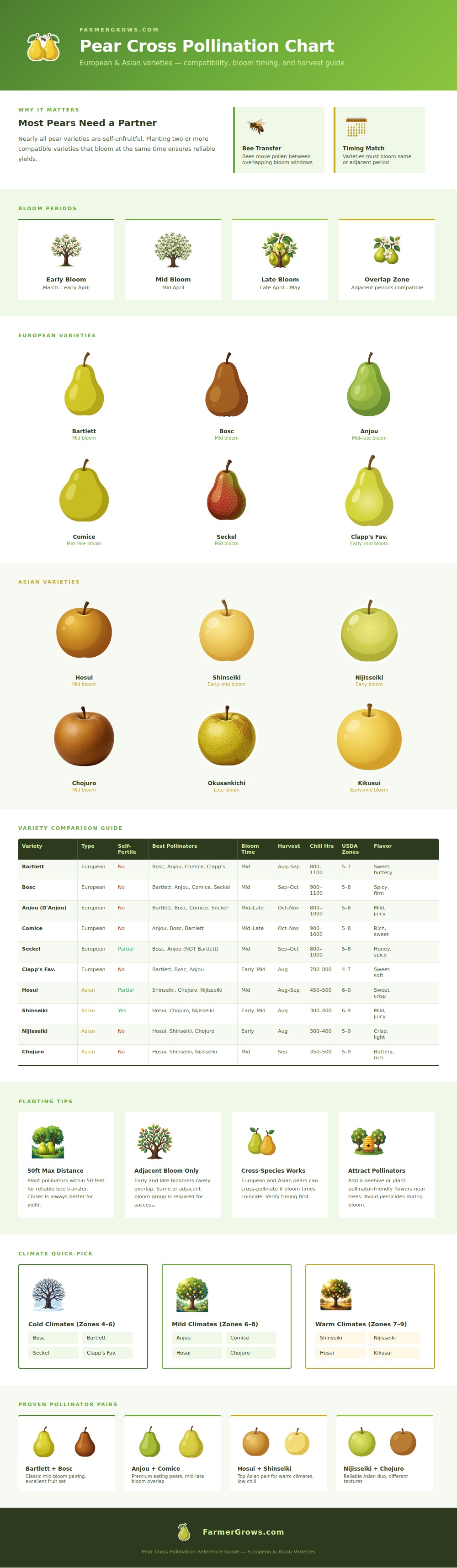 Pear Cross Pollination Chart