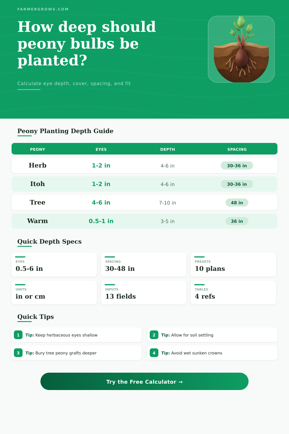 Peony Bulb Planting Depth Calculator