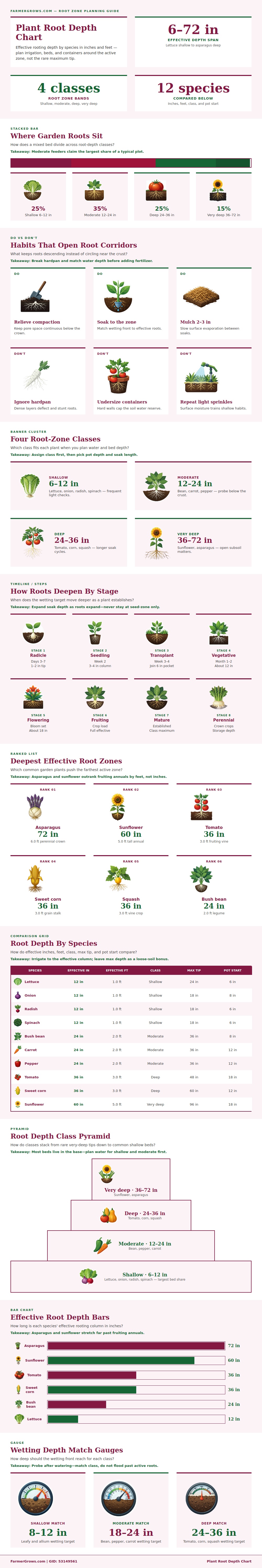 Plant Root Depth Chart