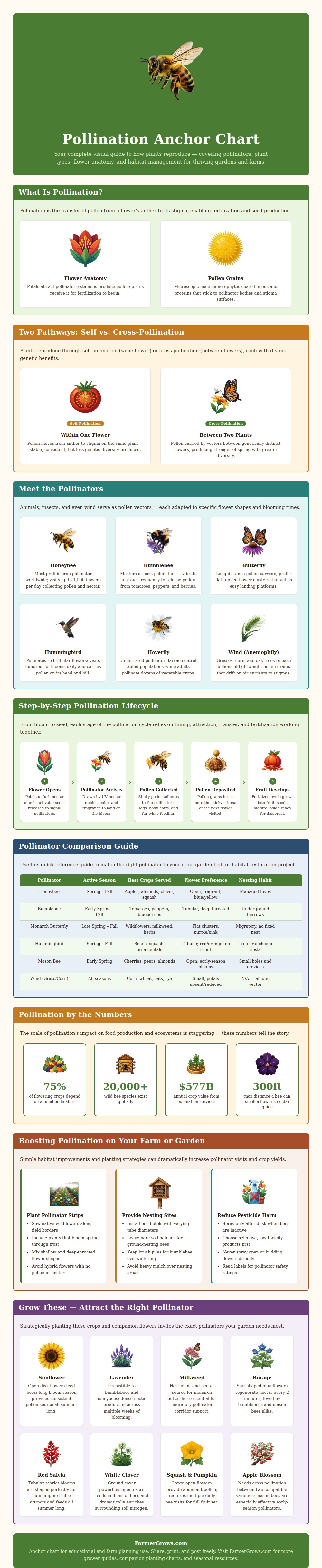 Pollination Anchor Chart