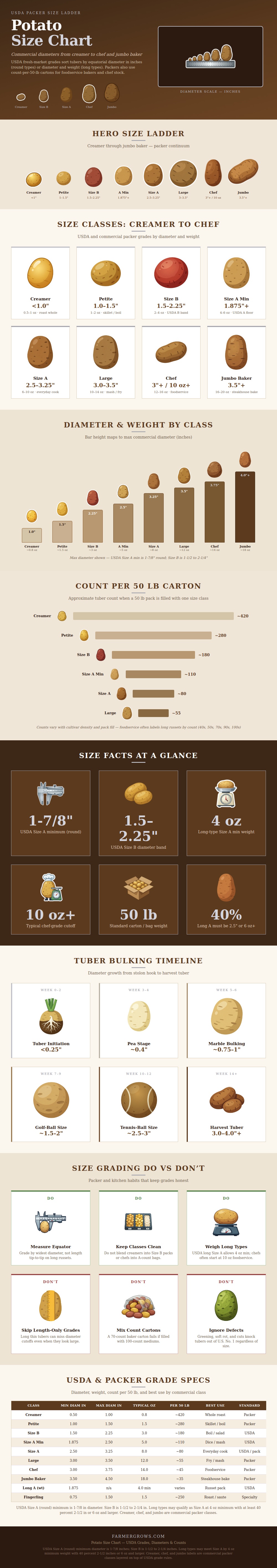 Potato Size Chart