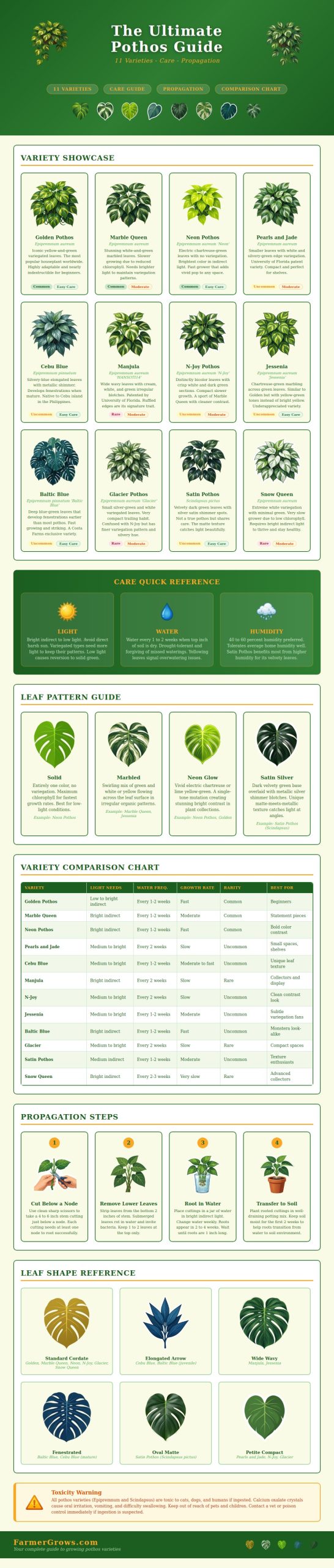 Pothos Variety Chart - Farmer Grows