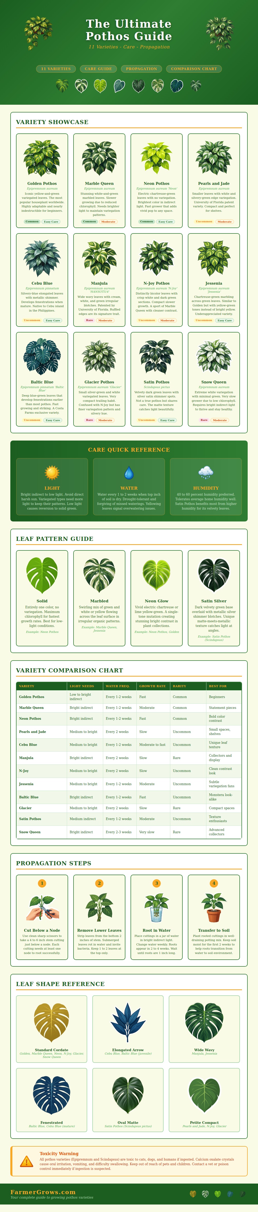 Pothos Variety Chart