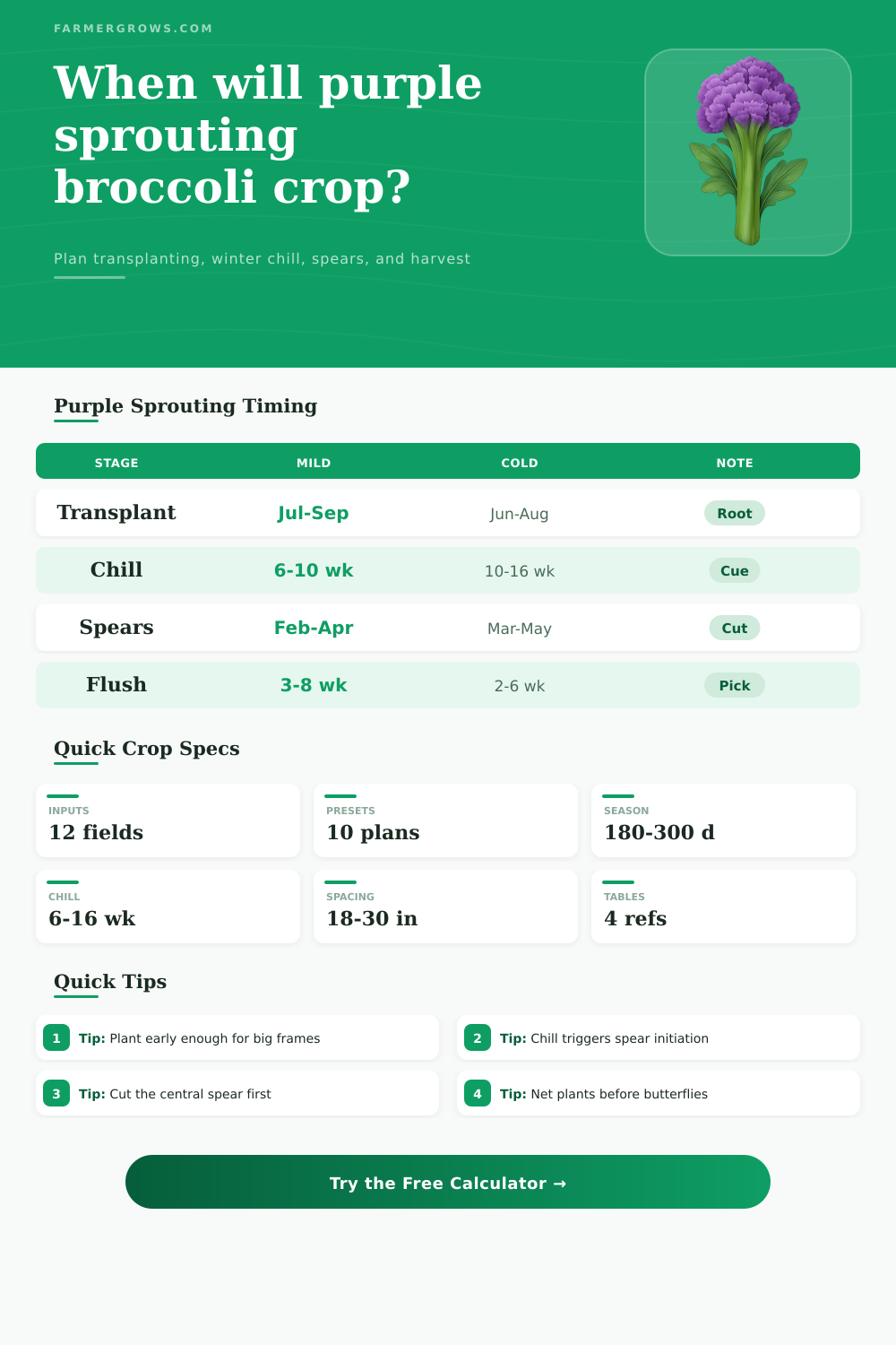 Purple Sprouting Broccoli Growth Time Calculator
