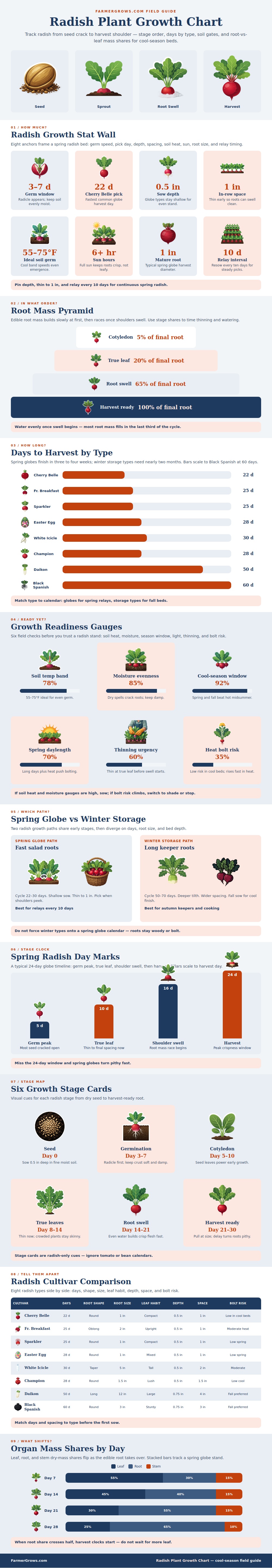 Radish Plant Growth Chart
