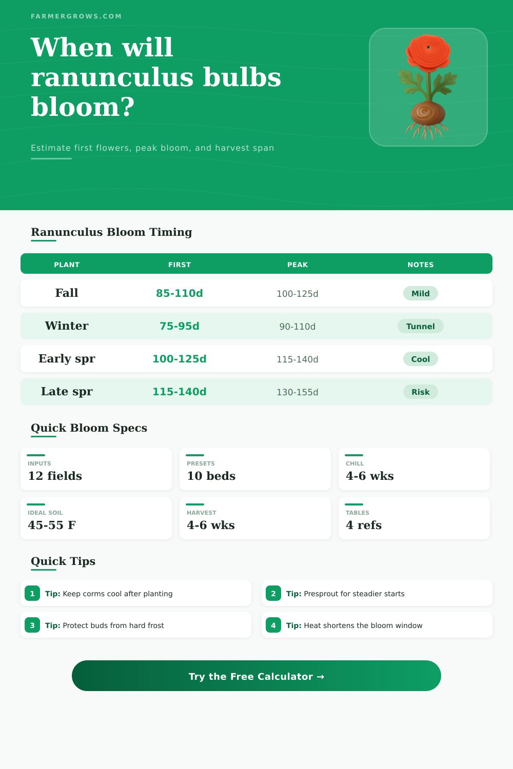 Ranunculus Bulb Bloom Time Calculator
