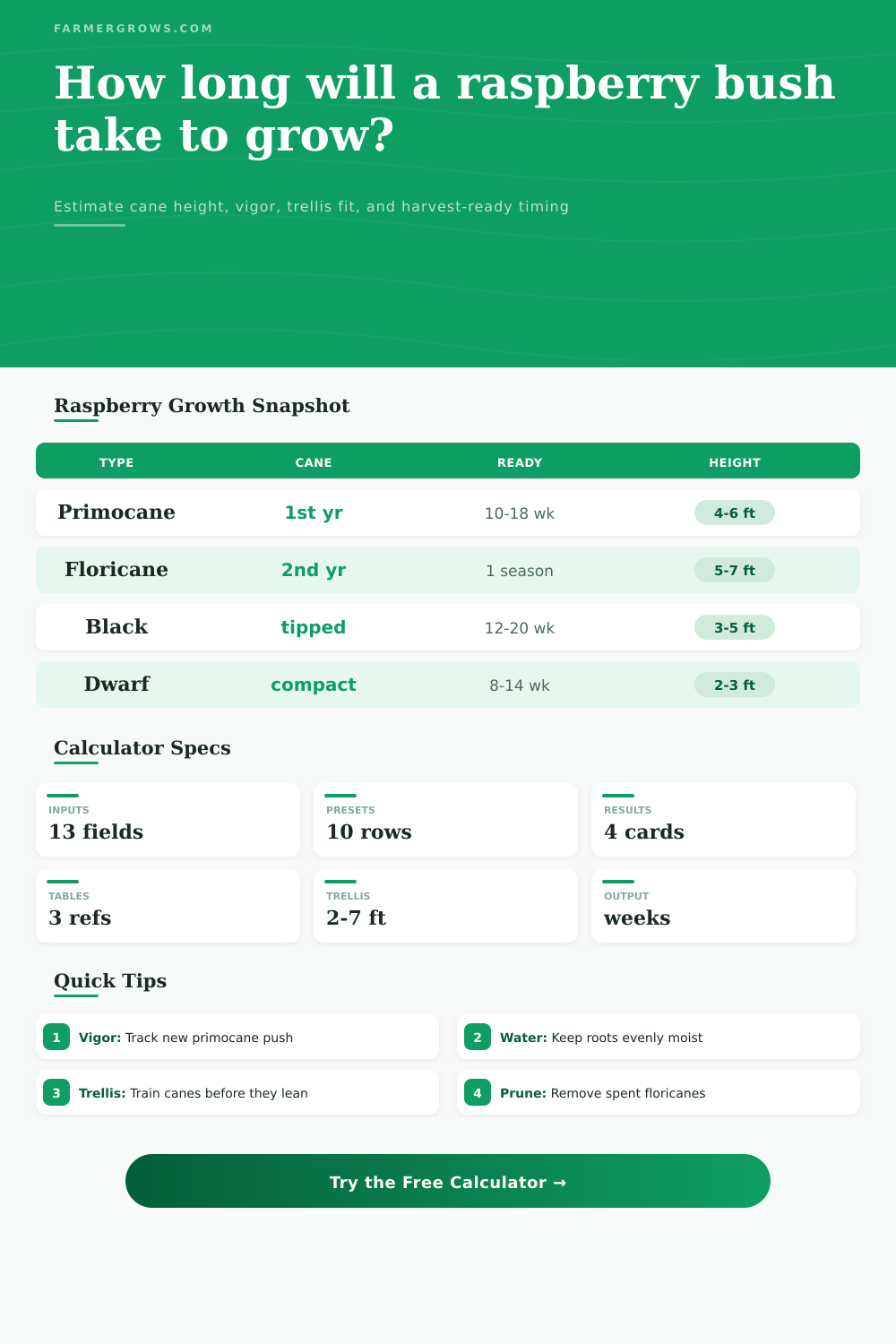 Raspberry Bush Growth Time Calculator