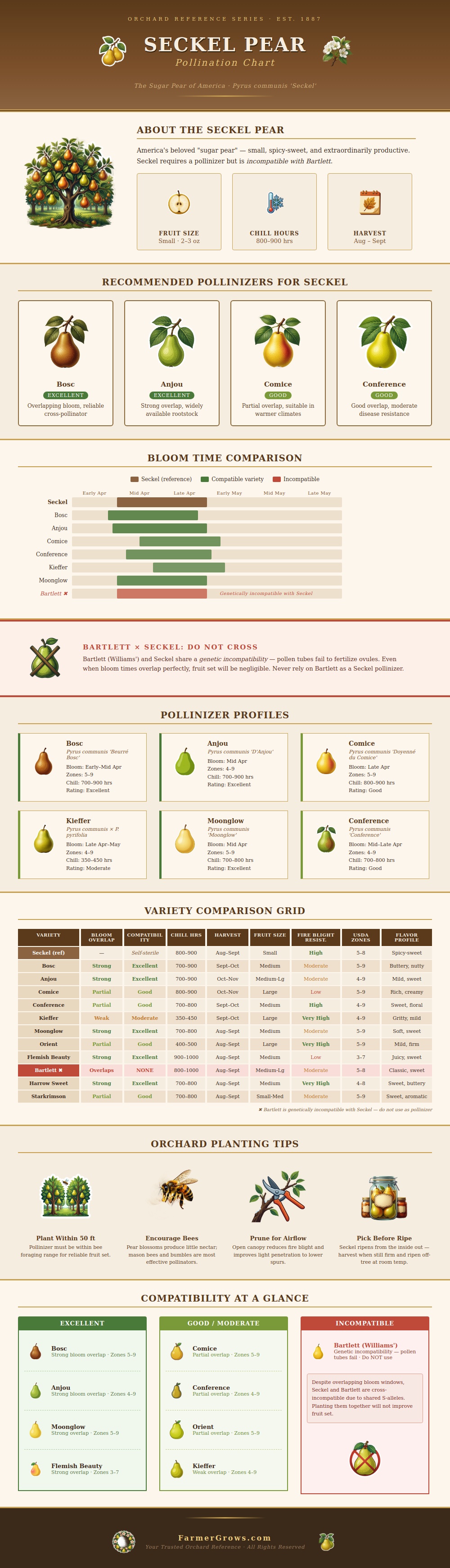 Seckel Pear Pollination Chart