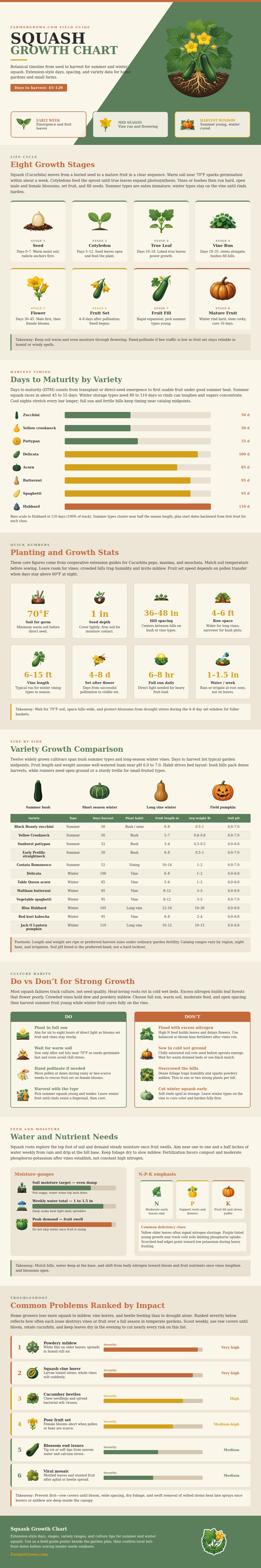 Squash Growth Chart