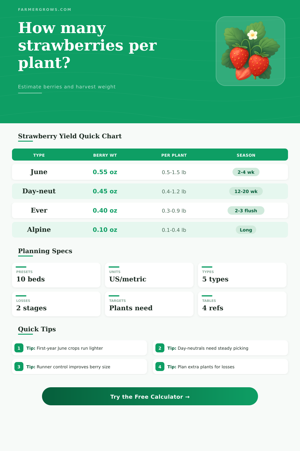 Strawberries Per Plant Calculator