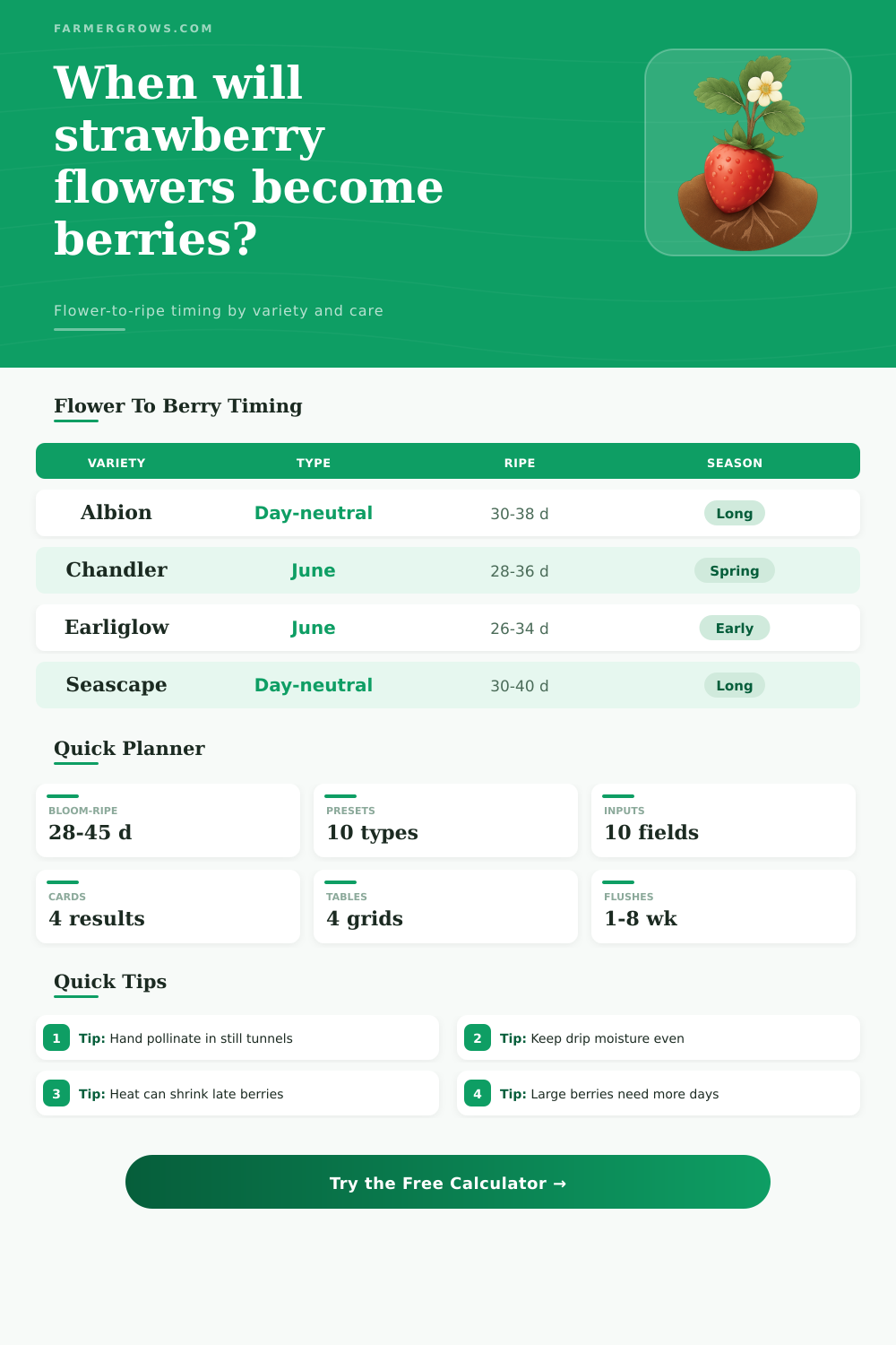 Strawberry Growth After Flowering Time Calculator
