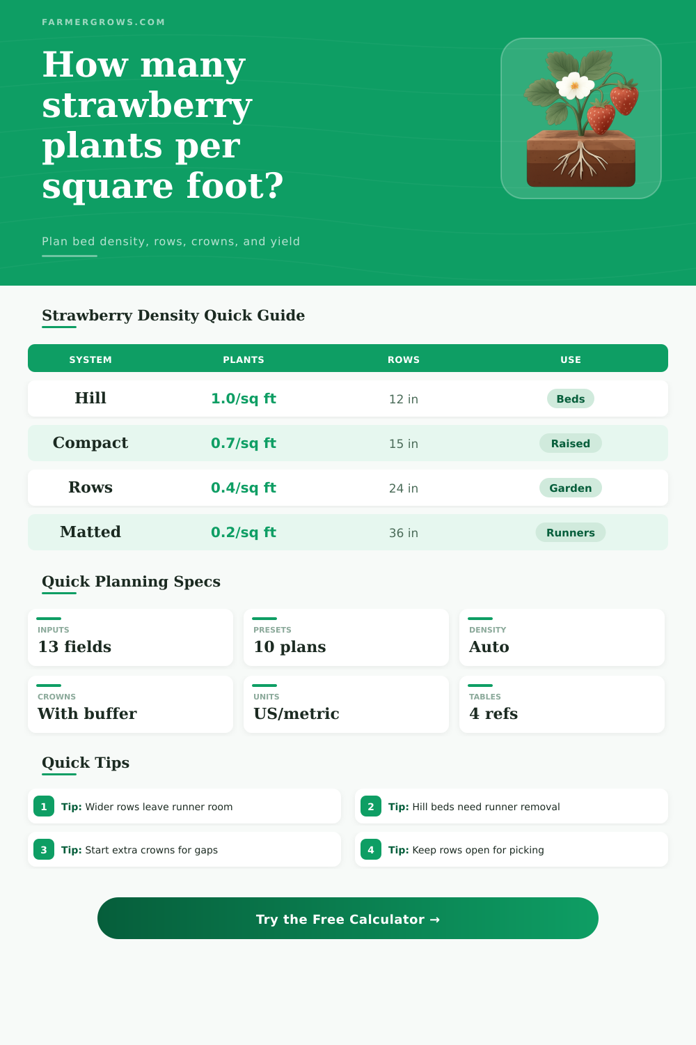 Strawberry Plants Per Square Foot Calculator