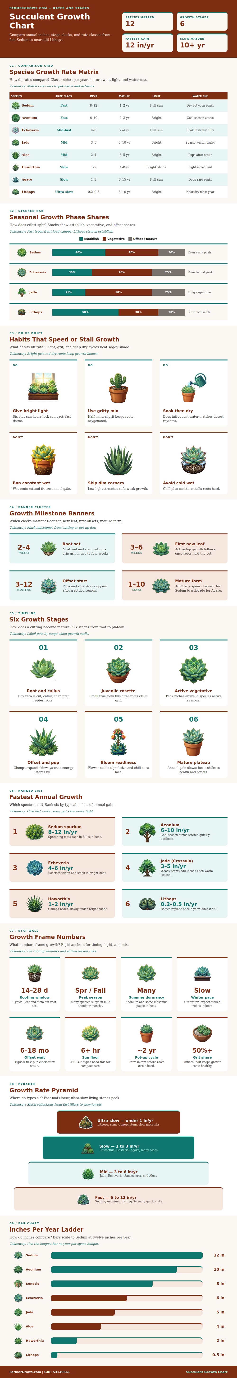 Succulent Growth Chart
