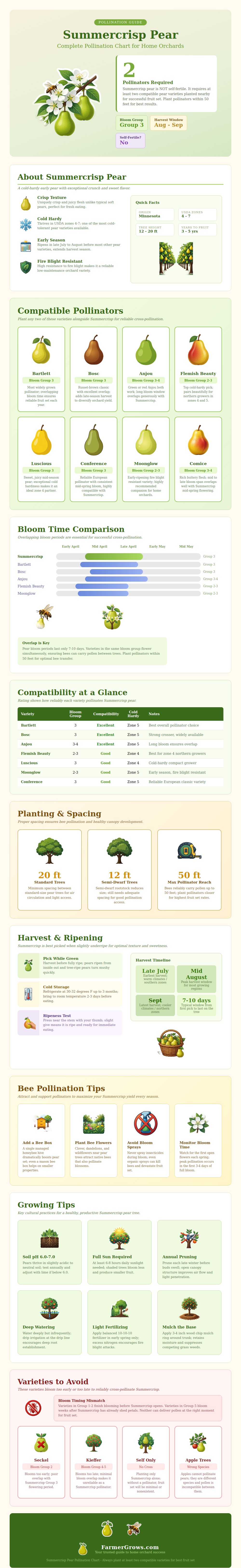 Summercrisp Pear Pollination Chart